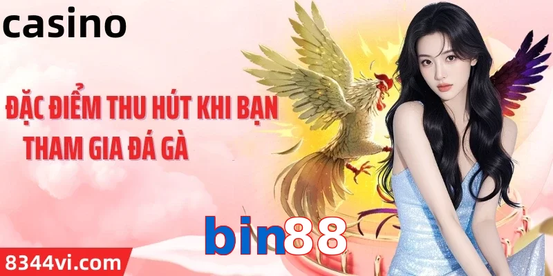 bin88
